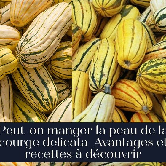 Peut-on manger la peau de la courge delicata Avantages et recettes à découvrir