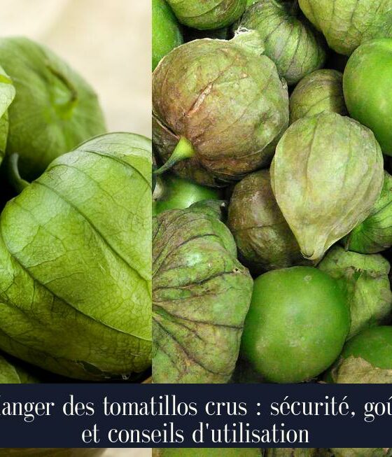 Manger des tomatillos crus : sécurité, goût et conseils d'utilisation