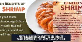 Peut-on abuser des crevettes Les impacts santé à considérer et les limites à respecter