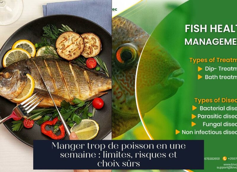 Manger trop de poisson en une semaine : limites, risques et choix sûrs