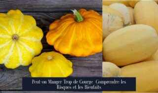 Peut-on Manger Trop de Courge Comprendre les Risques et les Bienfaits