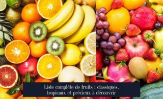 Liste complète de fruits : classiques, tropicaux et précieux à découvrir