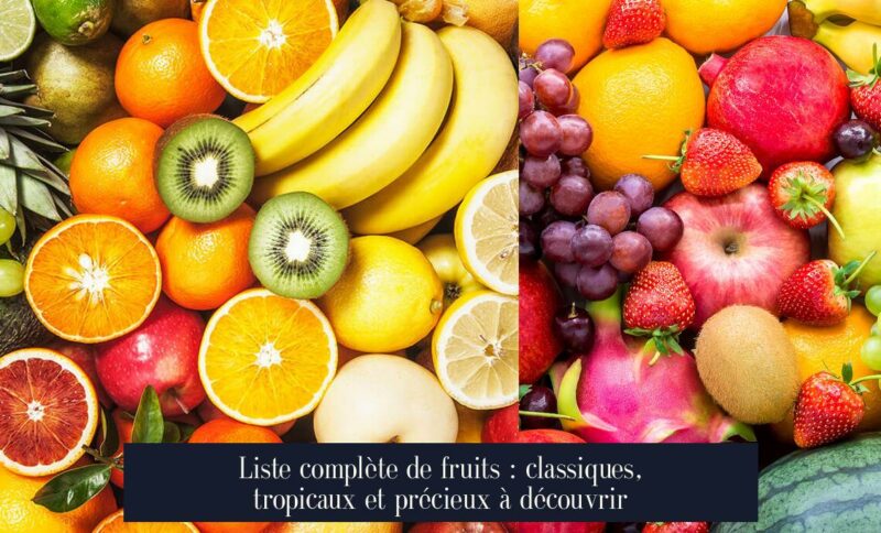 Liste complète de fruits : classiques, tropicaux et précieux à découvrir