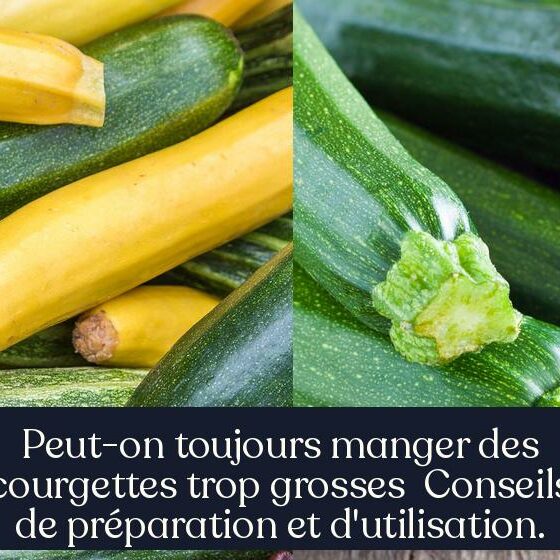 Peut-on toujours manger des courgettes trop grosses Conseils de préparation et d'utilisation.