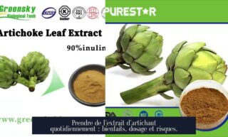 Prendre de l'extrait d'artichaut quotidiennement : bienfaits, dosage et risques.