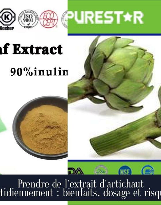 Prendre de l'extrait d'artichaut quotidiennement : bienfaits, dosage et risques.