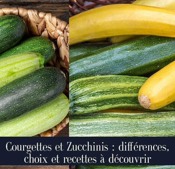 Courgettes et Zucchinis : différences, choix et recettes à découvrir