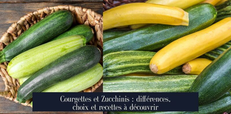 Courgettes et Zucchinis : différences, choix et recettes à découvrir