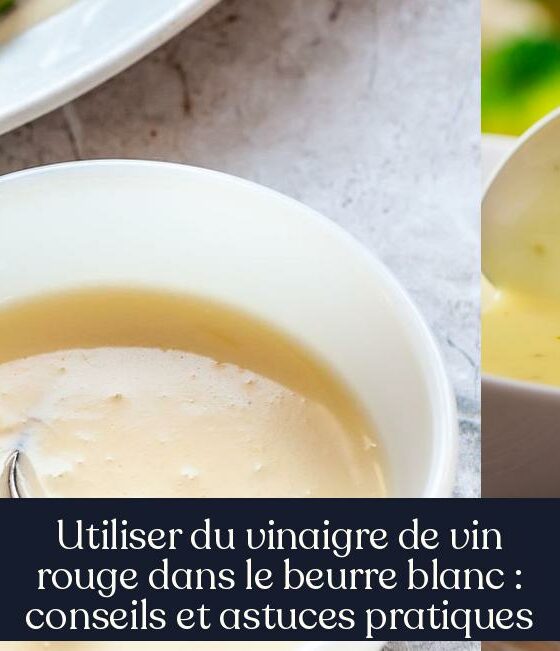 Utiliser du vinaigre de vin rouge dans le beurre blanc : conseils et astuces pratiques