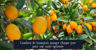 Combien de kumquats manger chaque jour pour une santé optimale