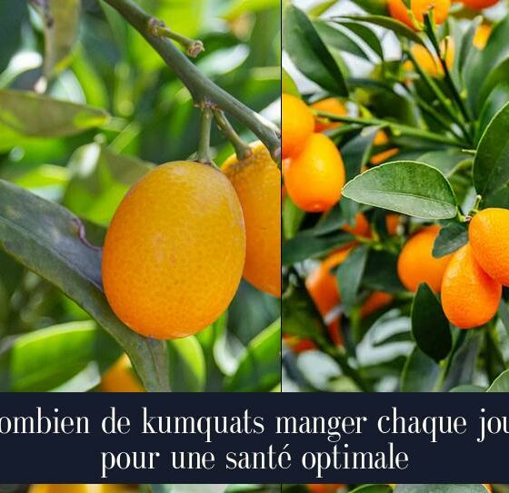 Combien de kumquats manger chaque jour pour une santé optimale