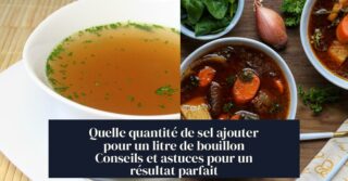 Quelle quantité de sel ajouter pour un litre de bouillon Conseils et astuces pour un résultat parfait