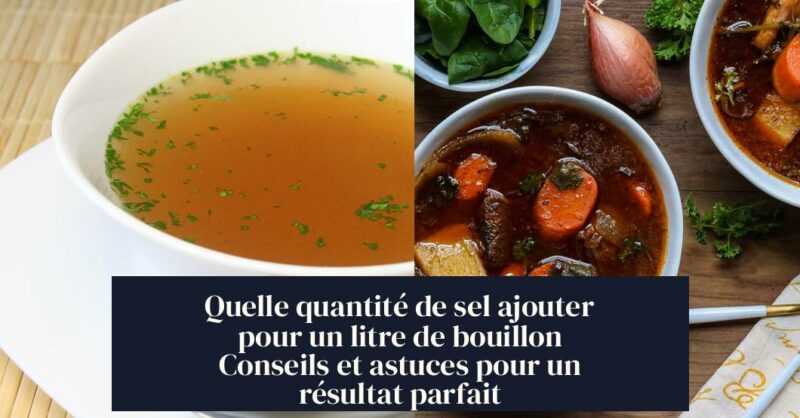 Quelle quantité de sel ajouter pour un litre de bouillon Conseils et astuces pour un résultat parfait