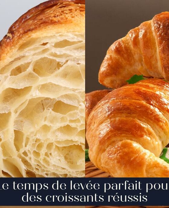 Le temps de levée parfait pour des croissants réussis