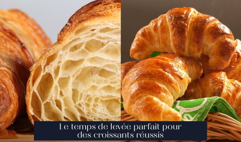 Le temps de levée parfait pour des croissants réussis