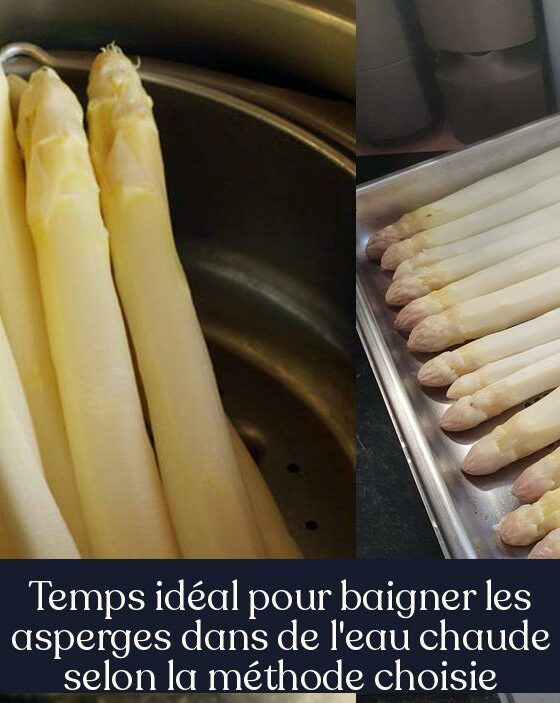 Temps idéal pour baigner les asperges dans de l'eau chaude selon la méthode choisie