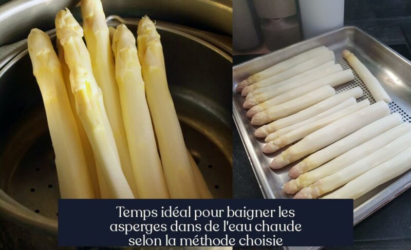 Temps idéal pour baigner les asperges dans de l'eau chaude selon la méthode choisie