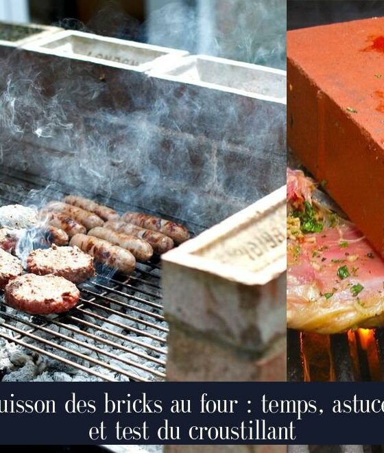 Cuisson des bricks au four : temps, astuces et test du croustillant
