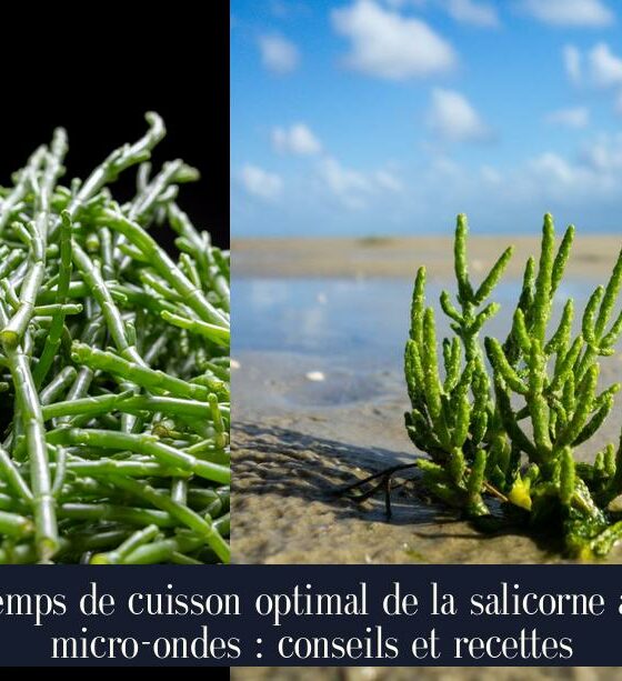 Temps de cuisson optimal de la salicorne au micro-ondes : conseils et recettes