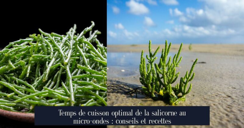 Temps de cuisson optimal de la salicorne au micro-ondes : conseils et recettes