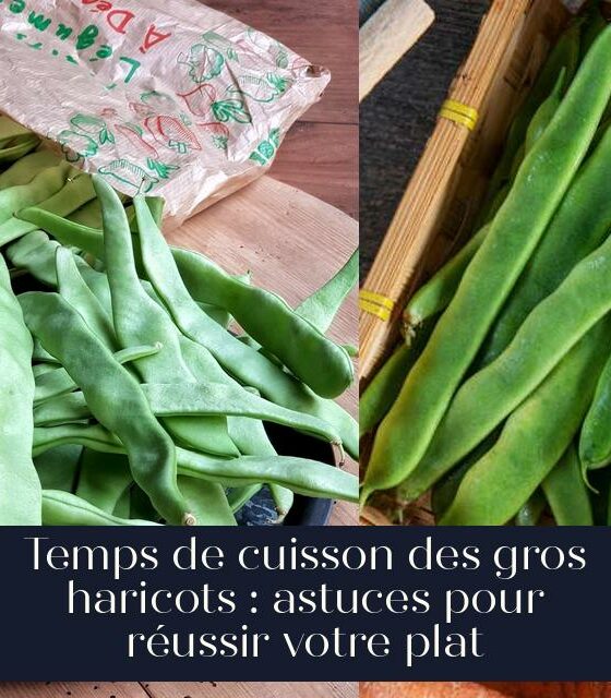 Temps de cuisson des gros haricots : astuces pour réussir votre plat