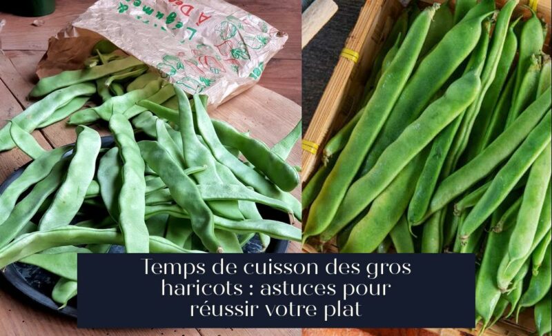 Temps de cuisson des gros haricots : astuces pour réussir votre plat