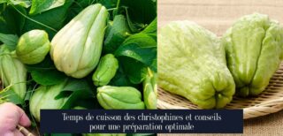 Temps de cuisson des christophines et conseils pour une préparation optimale