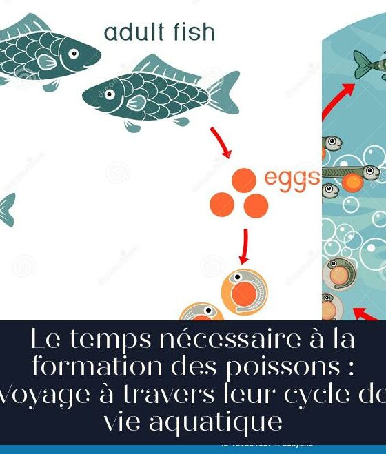 Le temps nécessaire à la formation des poissons : Voyage à travers leur cycle de vie aquatique