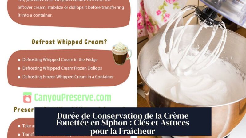 Durée de Conservation de la Crème Fouettée en Siphon : Clés et Astuces pour la Fraîcheur