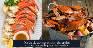 Durée de conservation du crabe cuit et conseils pour les restes