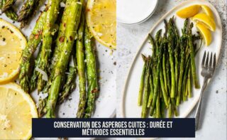 Conservation des asperges cuites : Durée et méthodes essentielles