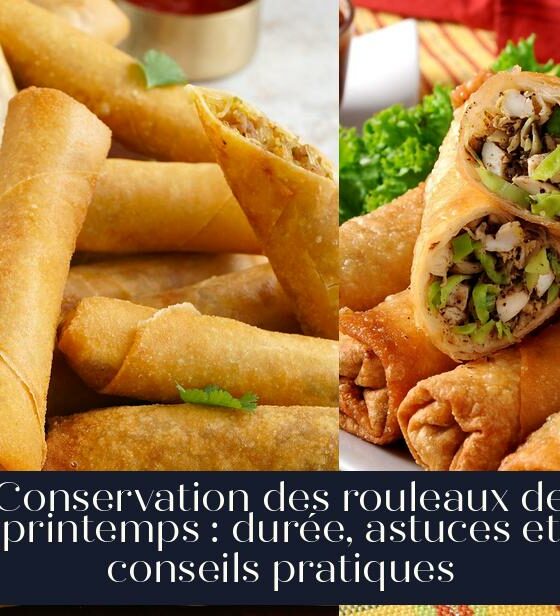 Conservation des rouleaux de printemps : durée, astuces et conseils pratiques