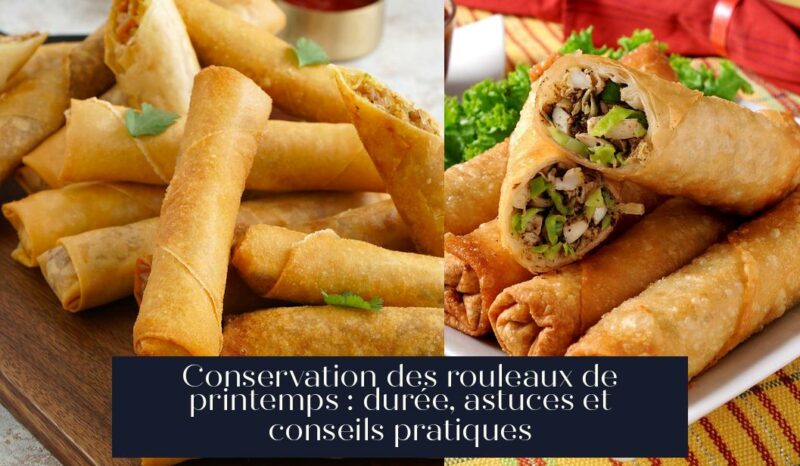 Conservation des rouleaux de printemps : durée, astuces et conseils pratiques