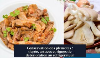 Conservation des pleurotes : durée, astuces et signes de détérioration au réfrigérateur