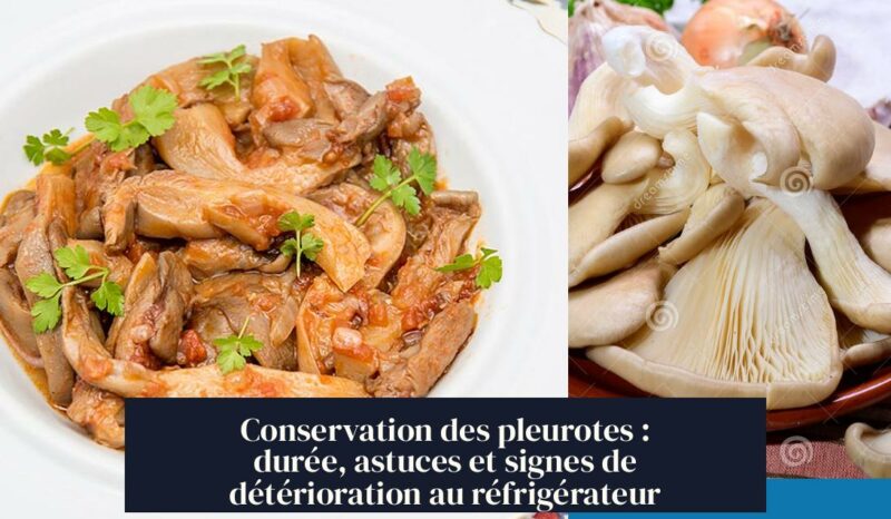 Conservation des pleurotes : durée, astuces et signes de détérioration au réfrigérateur