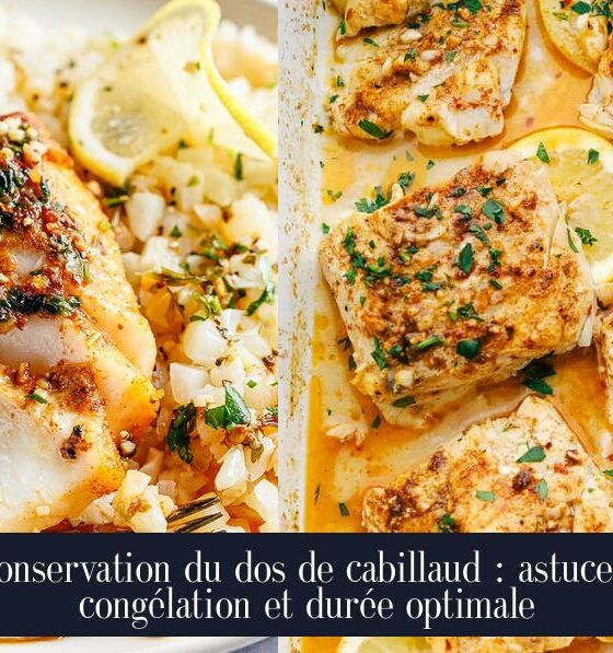 Conservation du dos de cabillaud : astuces, congélation et durée optimale