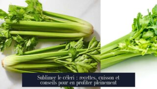 Sublimer le céleri : recettes, cuisson et conseils pour en profiter pleinement