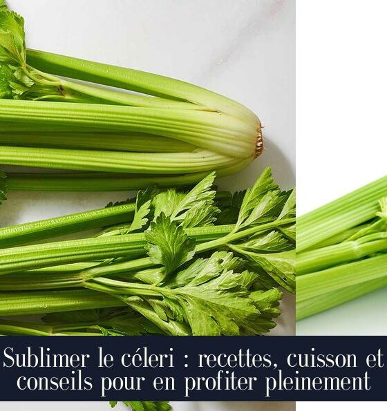 Sublimer le céleri : recettes, cuisson et conseils pour en profiter pleinement