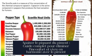 Apaiser le piquant du piment : Guide complet pour éliminer l'inconfort et vivre en harmonie avec le piment