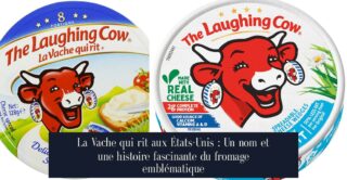 La Vache qui rit aux États-Unis : Un nom et une histoire fascinante du fromage emblématique