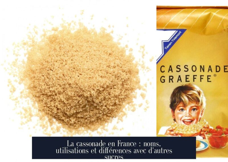 La cassonade en France : noms, utilisations et différences avec d'autres sucres