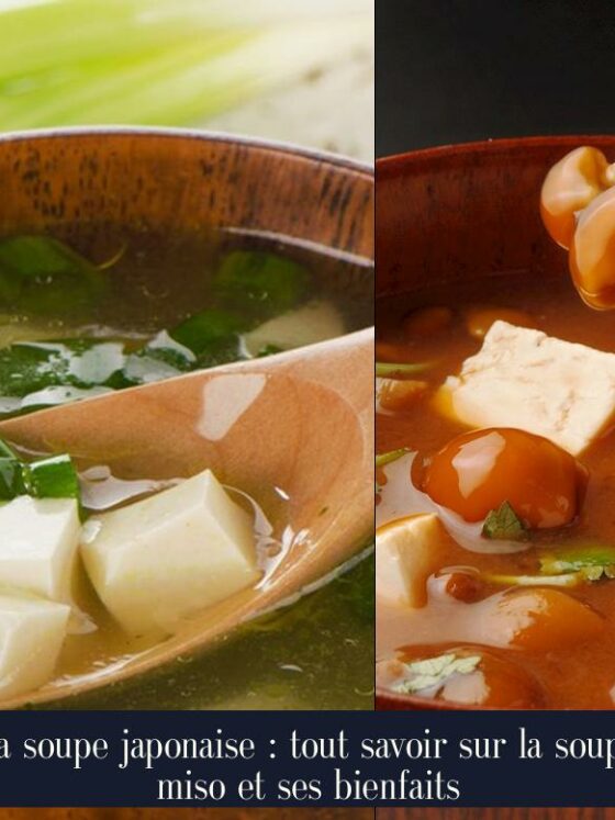 La soupe japonaise : tout savoir sur la soupe miso et ses bienfaits
