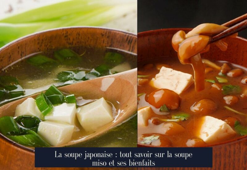 La soupe japonaise : tout savoir sur la soupe miso et ses bienfaits