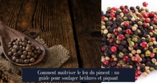Comment maîtriser le feu du piment : un guide pour soulager brûlures et piquant