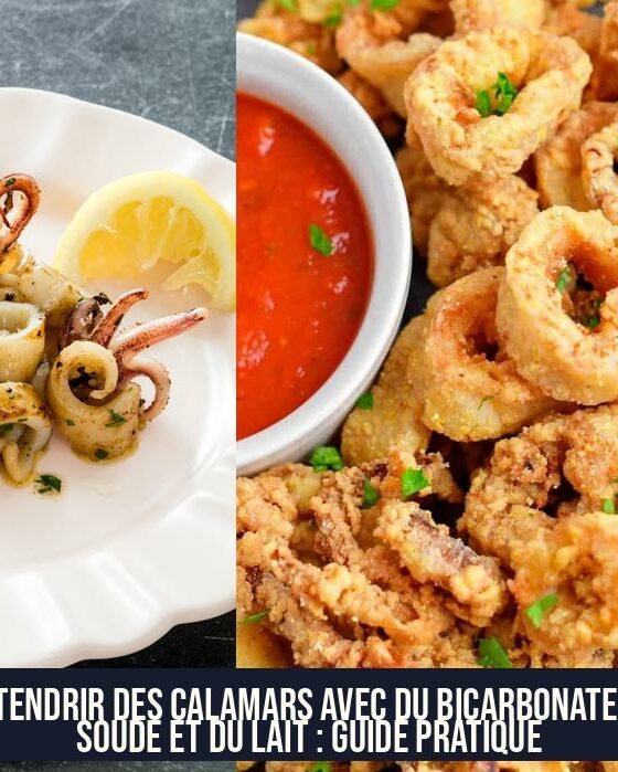 Attendrir des calamars avec du bicarbonate de soude et du lait : Guide pratique