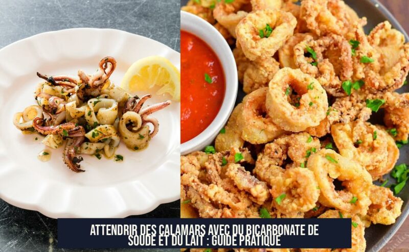 Attendrir des calamars avec du bicarbonate de soude et du lait : Guide pratique
