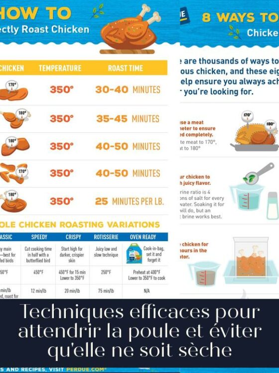 Techniques efficaces pour attendrir la poule et éviter qu'elle ne soit sèche
