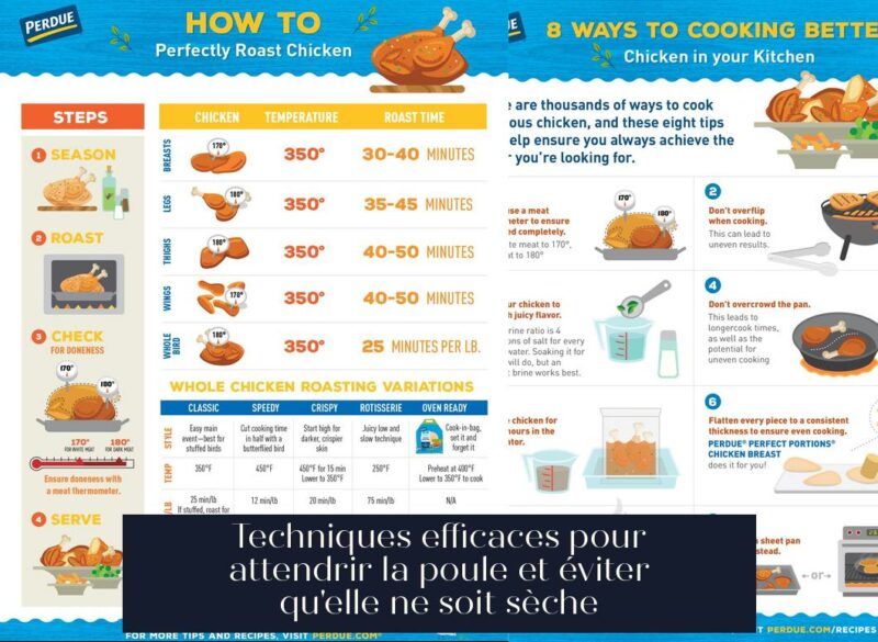 Techniques efficaces pour attendrir la poule et éviter qu'elle ne soit sèche