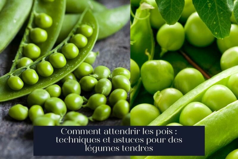 Comment attendrir les pois : techniques et astuces pour des légumes tendres