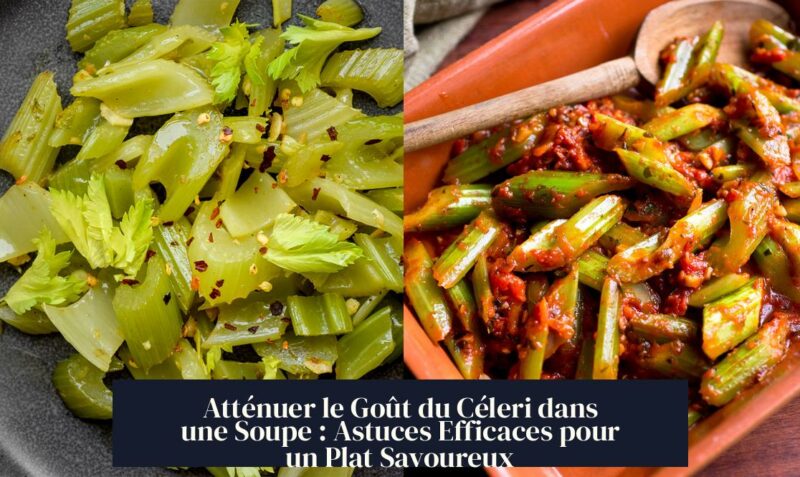 Atténuer le Goût du Céleri dans une Soupe : Astuces Efficaces pour un Plat Savoureux